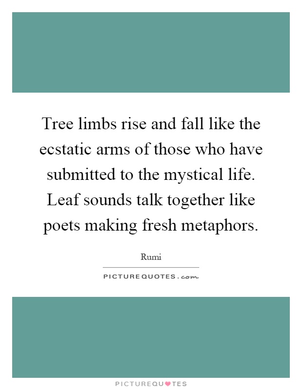Tree limbs rise and fall like the ecstatic arms of those who have submitted to the mystical life. Leaf sounds talk together like poets making fresh metaphors Picture Quote #1