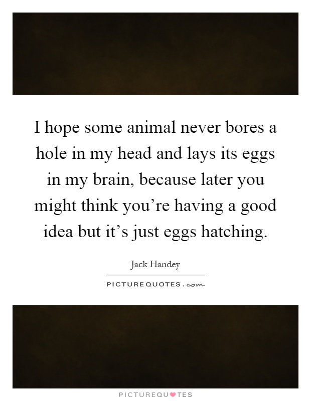 I hope some animal never bores a hole in my head and lays its eggs in my brain, because later you might think you're having a good idea but it's just eggs hatching Picture Quote #1