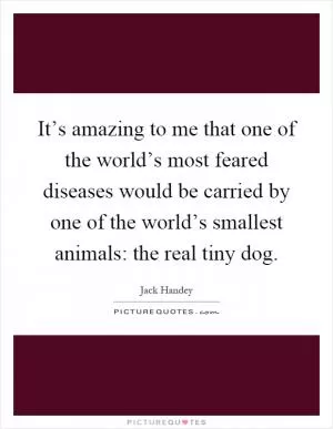 It’s amazing to me that one of the world’s most feared diseases would be carried by one of the world’s smallest animals: the real tiny dog Picture Quote #1
