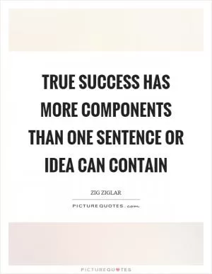 True success has more components than one sentence or idea can contain Picture Quote #1
