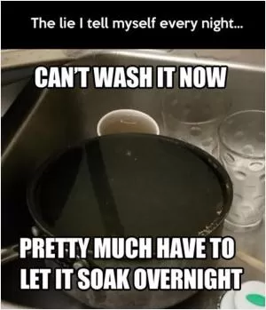The lie I tell myself every night. Can’t wash it now, pretty much have to let it soak overnight Picture Quote #1