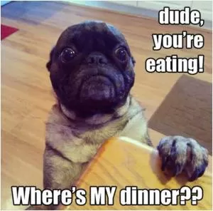 Dude, you’re eating! Where’s my dinner?? Picture Quote #1
