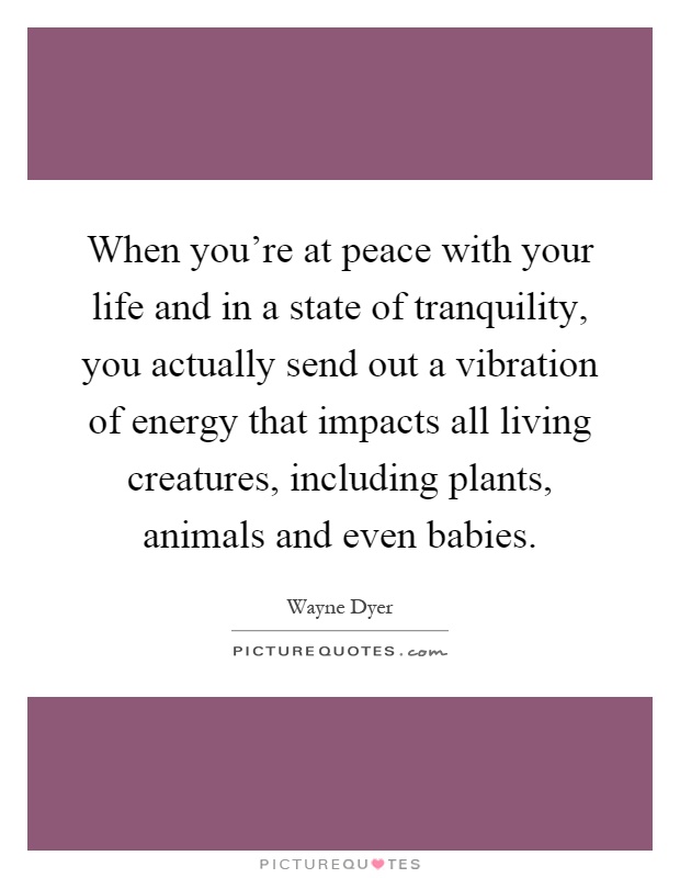 When you're at peace with your life and in a state of tranquility, you actually send out a vibration of energy that impacts all living creatures, including plants, animals and even babies Picture Quote #1