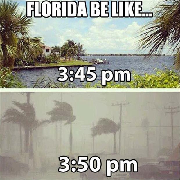 Florida be like... 3:45pm 3:50pm Picture Quote #1