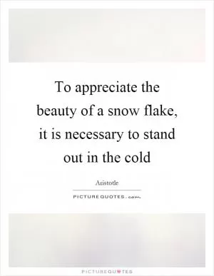To appreciate the beauty of a snow flake, it is necessary to stand out in the cold Picture Quote #1
