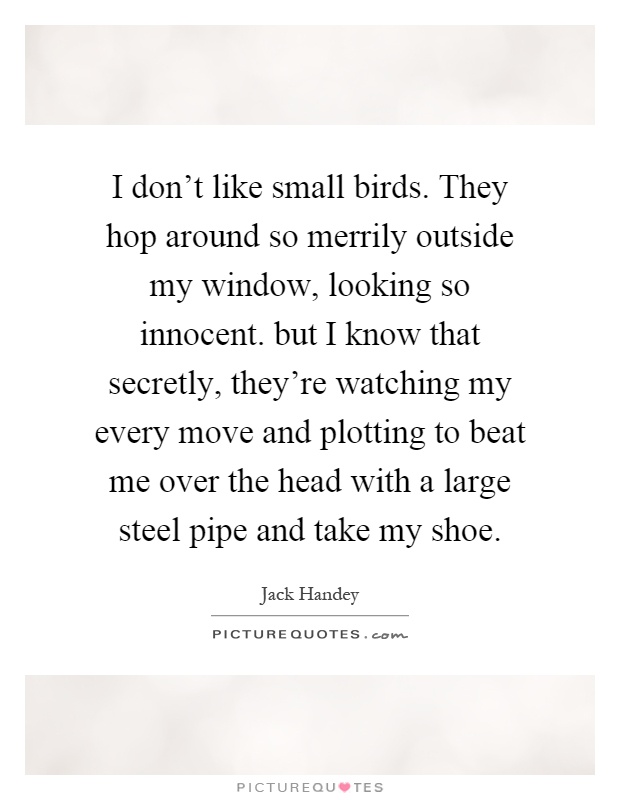 I don't like small birds. They hop around so merrily outside my window, looking so innocent. but I know that secretly, they're watching my every move and plotting to beat me over the head with a large steel pipe and take my shoe Picture Quote #1