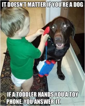 It doesn’t matter if you’re a dog, if a toddler hands you a toy phone, you answer it Picture Quote #1
