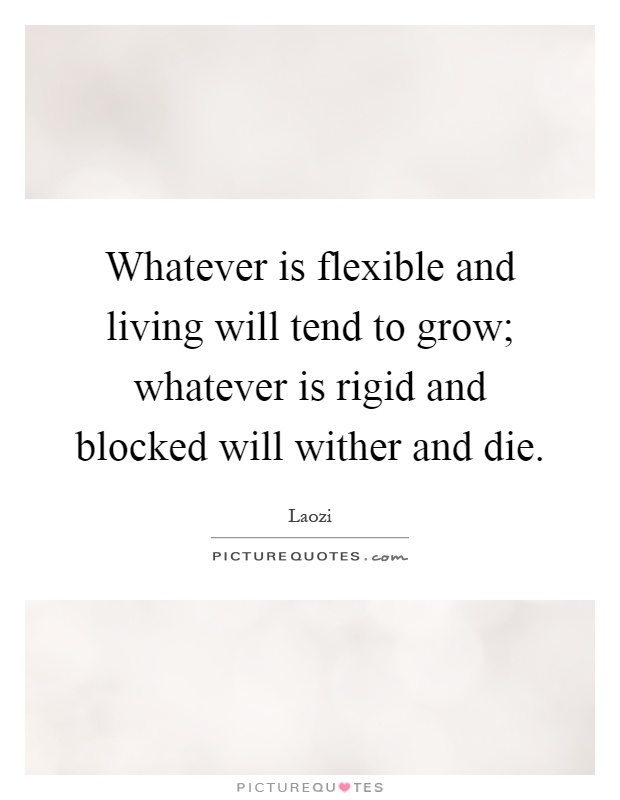 Whatever is flexible and living will tend to grow; whatever is rigid and blocked will wither and die Picture Quote #1