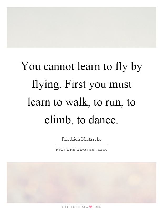 You cannot learn to fly by flying. First you must learn to walk, to run, to climb, to dance Picture Quote #1