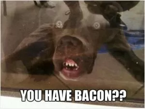 You have bacon? Picture Quote #1
