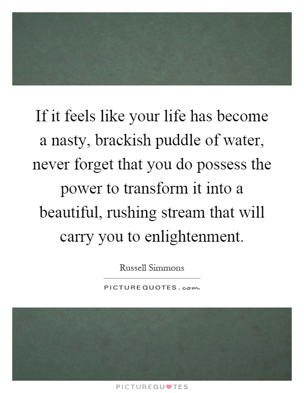 If it feels like your life has become a nasty, brackish puddle of water, never forget that you do possess the power to transform it into a beautiful, rushing stream that will carry you to enlightenment Picture Quote #1