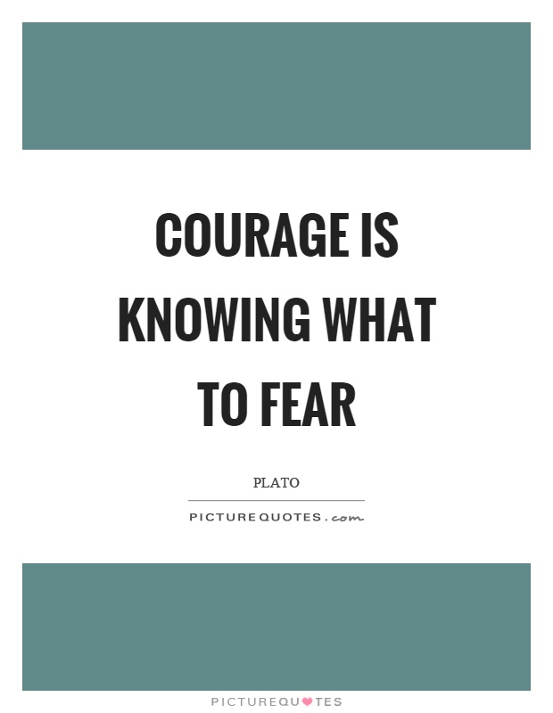 Courage is knowing what to fear Picture Quote #1