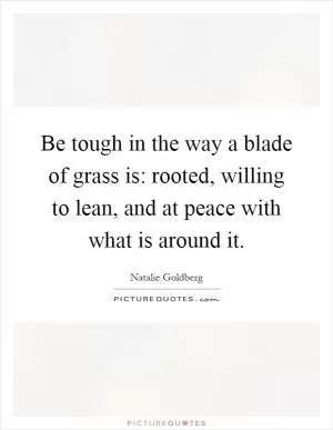 Be tough in the way a blade of grass is: rooted, willing to lean, and at peace with what is around it Picture Quote #1