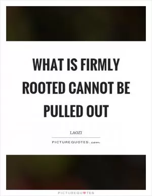 What is firmly rooted cannot be pulled out Picture Quote #1
