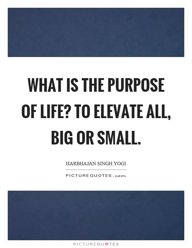 What is the purpose of life? To elevate all, big or small Picture Quote #1
