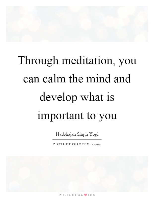 Through meditation, you can calm the mind and develop what is important to you Picture Quote #1