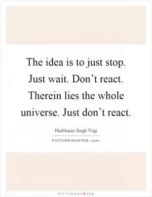 The idea is to just stop. Just wait. Don’t react. Therein lies the whole universe. Just don’t react Picture Quote #1