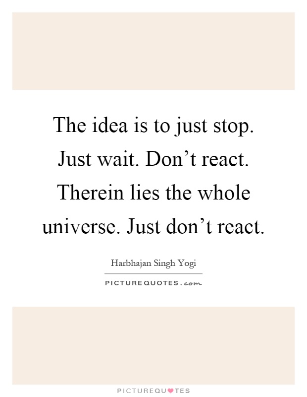 The idea is to just stop. Just wait. Don't react. Therein lies the whole universe. Just don't react Picture Quote #1