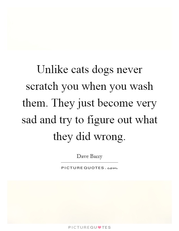 Unlike cats dogs never scratch you when you wash them. They just become very sad and try to figure out what they did wrong Picture Quote #1