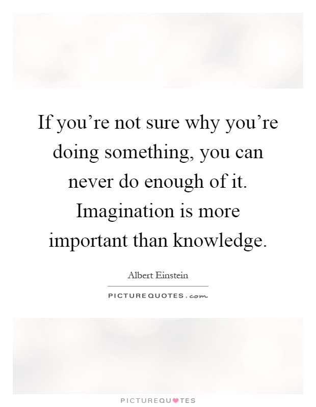 If you're not sure why you're doing something, you can never do enough of it. Imagination is more important than knowledge Picture Quote #1