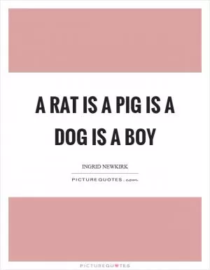 A rat is a pig is a dog is a boy Picture Quote #1
