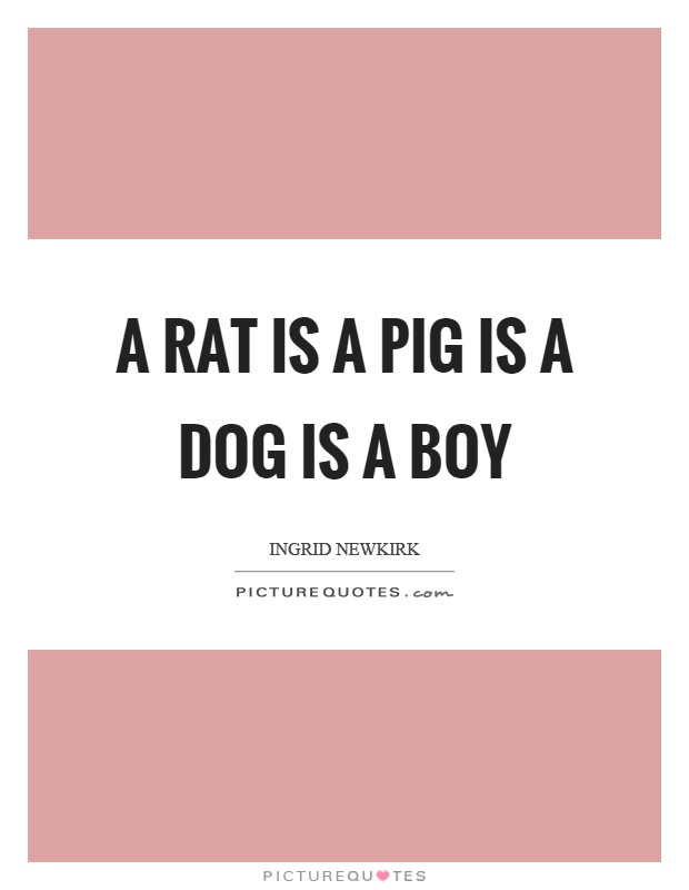 A rat is a pig is a dog is a boy Picture Quote #1