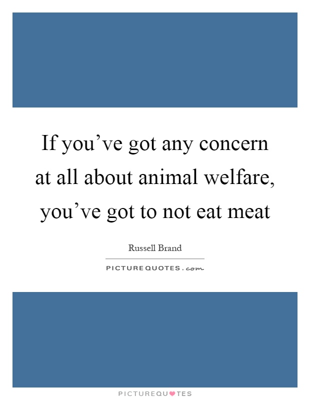 If you've got any concern at all about animal welfare, you've got to not eat meat Picture Quote #1