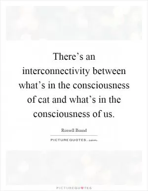 There’s an interconnectivity between what’s in the consciousness of cat and what’s in the consciousness of us Picture Quote #1