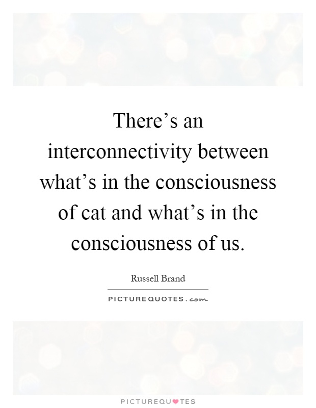 There's an interconnectivity between what's in the consciousness of cat and what's in the consciousness of us Picture Quote #1