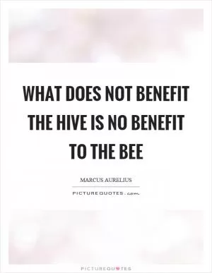What does not benefit the hive is no benefit to the bee Picture Quote #1