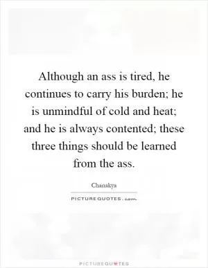 Although an ass is tired, he continues to carry his burden; he is unmindful of cold and heat; and he is always contented; these three things should be learned from the ass Picture Quote #1
