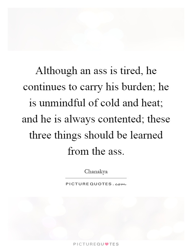 Although an ass is tired, he continues to carry his burden; he is unmindful of cold and heat; and he is always contented; these three things should be learned from the ass Picture Quote #1