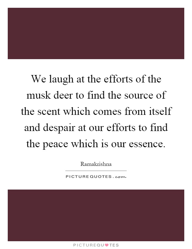 We laugh at the efforts of the musk deer to find the source of the scent which comes from itself and despair at our efforts to find the peace which is our essence Picture Quote #1