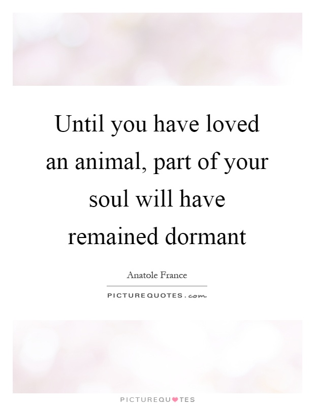 Until you have loved an animal, part of your soul will have remained dormant Picture Quote #1