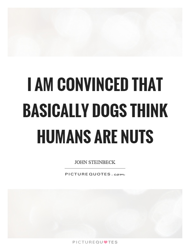 I am convinced that basically dogs think humans are nuts Picture Quote #1