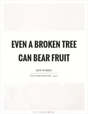 Even a broken tree can bear fruit Picture Quote #1