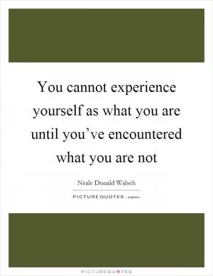 You cannot experience yourself as what you are until you’ve encountered what you are not Picture Quote #1