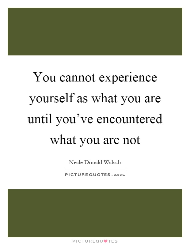 You cannot experience yourself as what you are until you've encountered what you are not Picture Quote #1