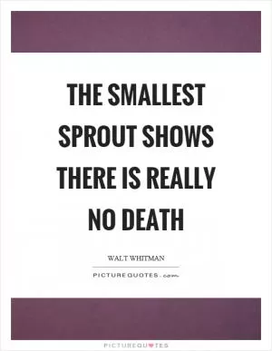 The smallest sprout shows there is really no death Picture Quote #1