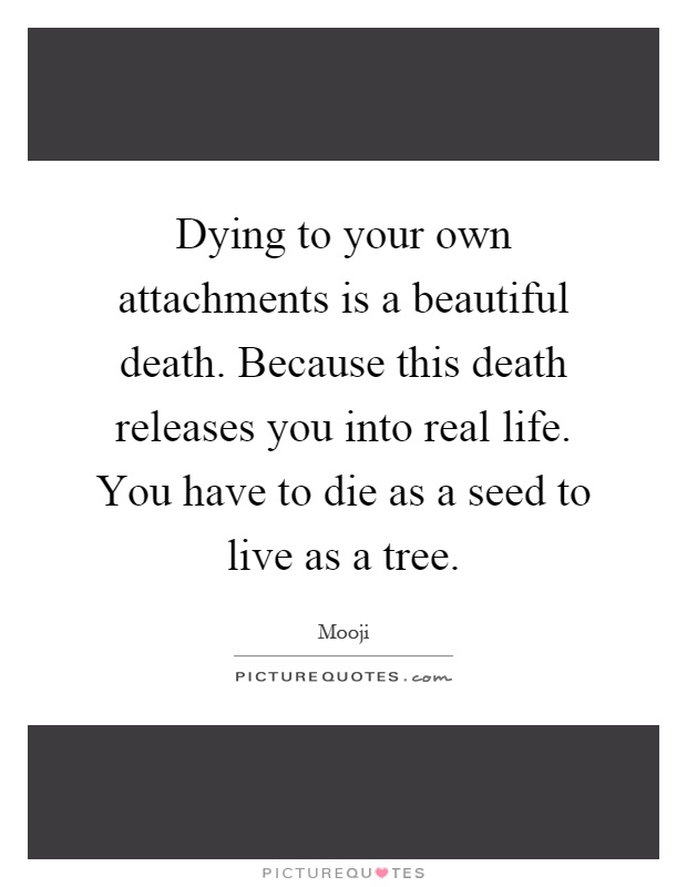 Dying to your own attachments is a beautiful death. Because this death releases you into real life. You have to die as a seed to live as a tree Picture Quote #1