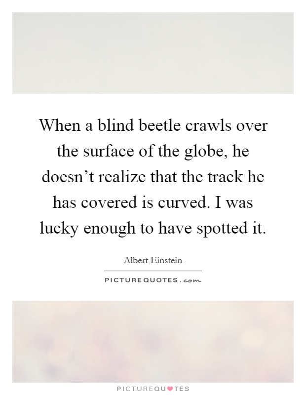 When a blind beetle crawls over the surface of the globe, he doesn't realize that the track he has covered is curved. I was lucky enough to have spotted it Picture Quote #1