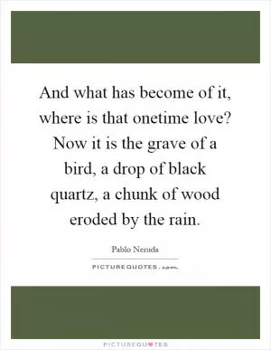 And what has become of it, where is that onetime love? Now it is the grave of a bird, a drop of black quartz, a chunk of wood eroded by the rain Picture Quote #1