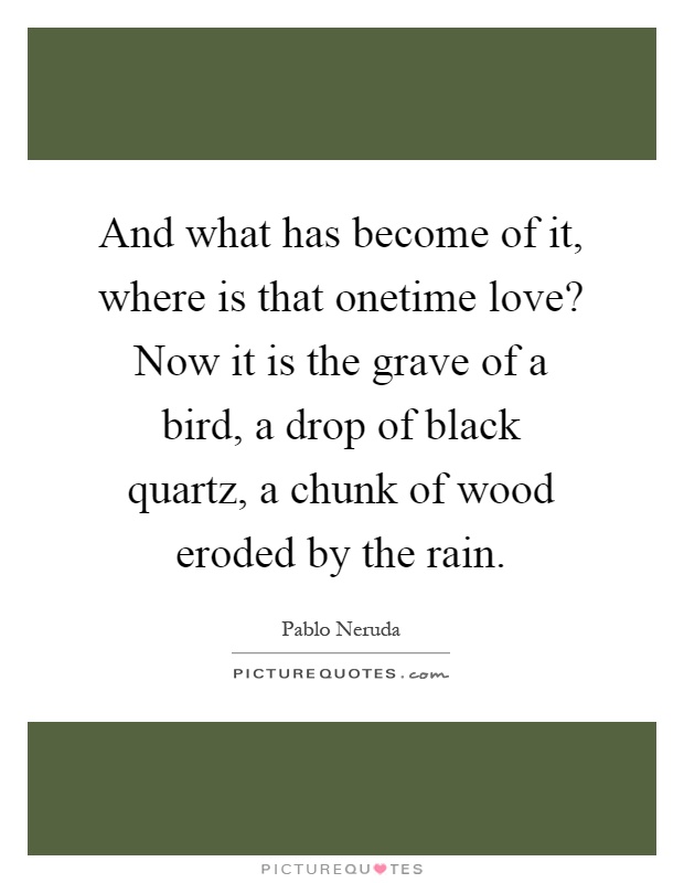 And what has become of it, where is that onetime love? Now it is the grave of a bird, a drop of black quartz, a chunk of wood eroded by the rain Picture Quote #1