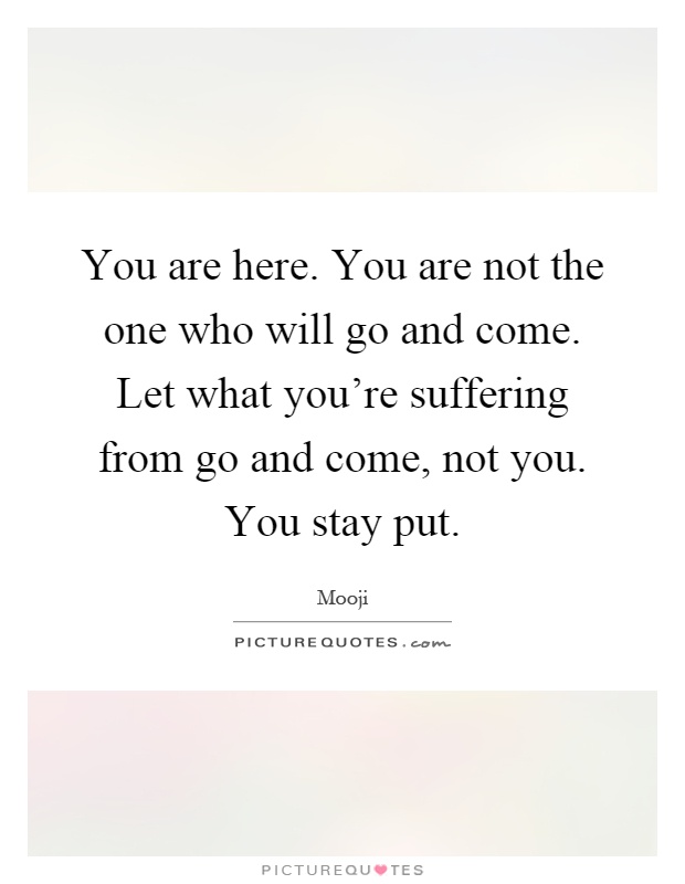 You are here. You are not the one who will go and come. Let what you're suffering from go and come, not you. You stay put Picture Quote #1