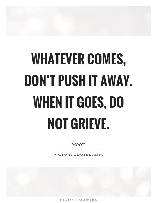 Whatever comes, don't push it away. When it goes, do not grieve Picture Quote #1