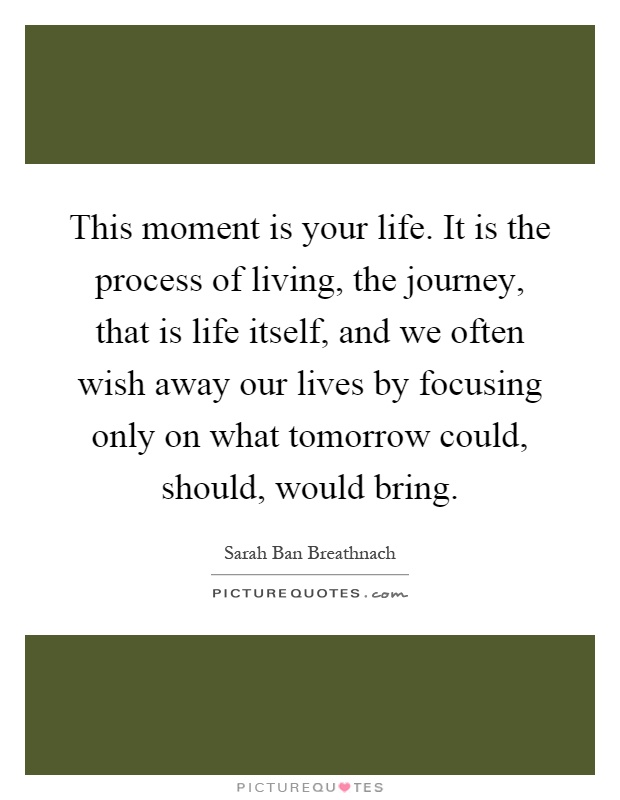 This moment is your life. It is the process of living, the journey, that is life itself, and we often wish away our lives by focusing only on what tomorrow could, should, would bring Picture Quote #1