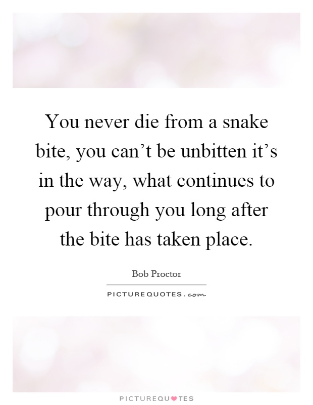 You never die from a snake bite, you can't be unbitten it's in the way, what continues to pour through you long after the bite has taken place Picture Quote #1
