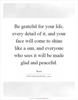 Be grateful for your life, every detail of it, and your face will come to shine like a sun, and everyone who sees it will be made glad and peaceful Picture Quote #1