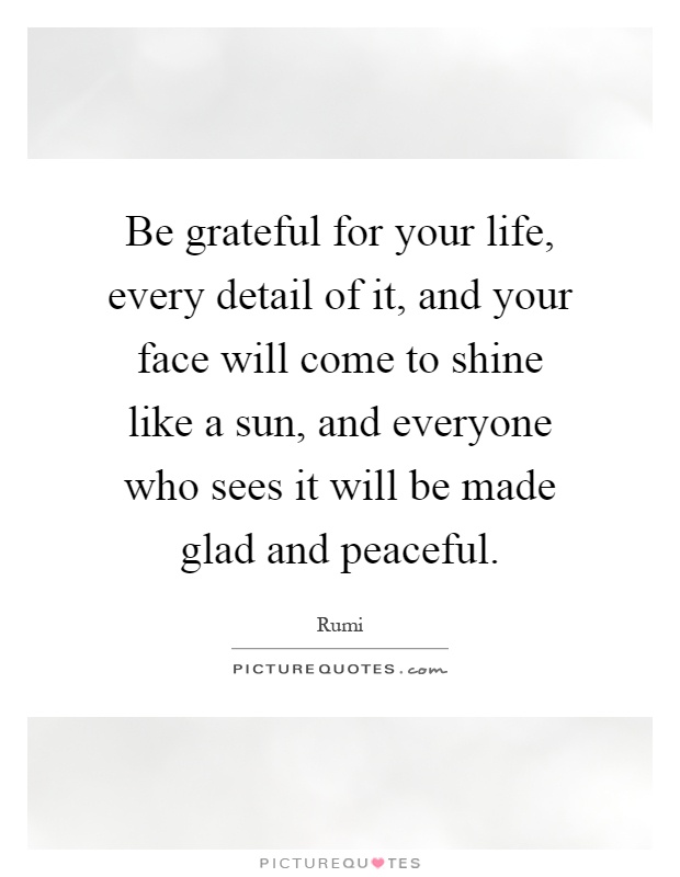 Be grateful for your life, every detail of it, and your face will come to shine like a sun, and everyone who sees it will be made glad and peaceful Picture Quote #1