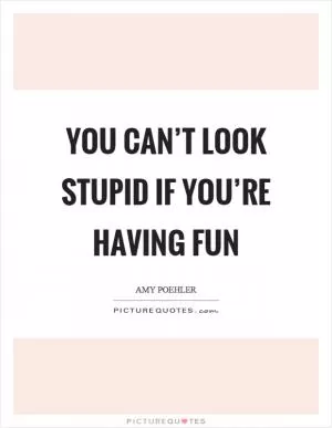 You can’t look stupid if you’re having fun Picture Quote #1